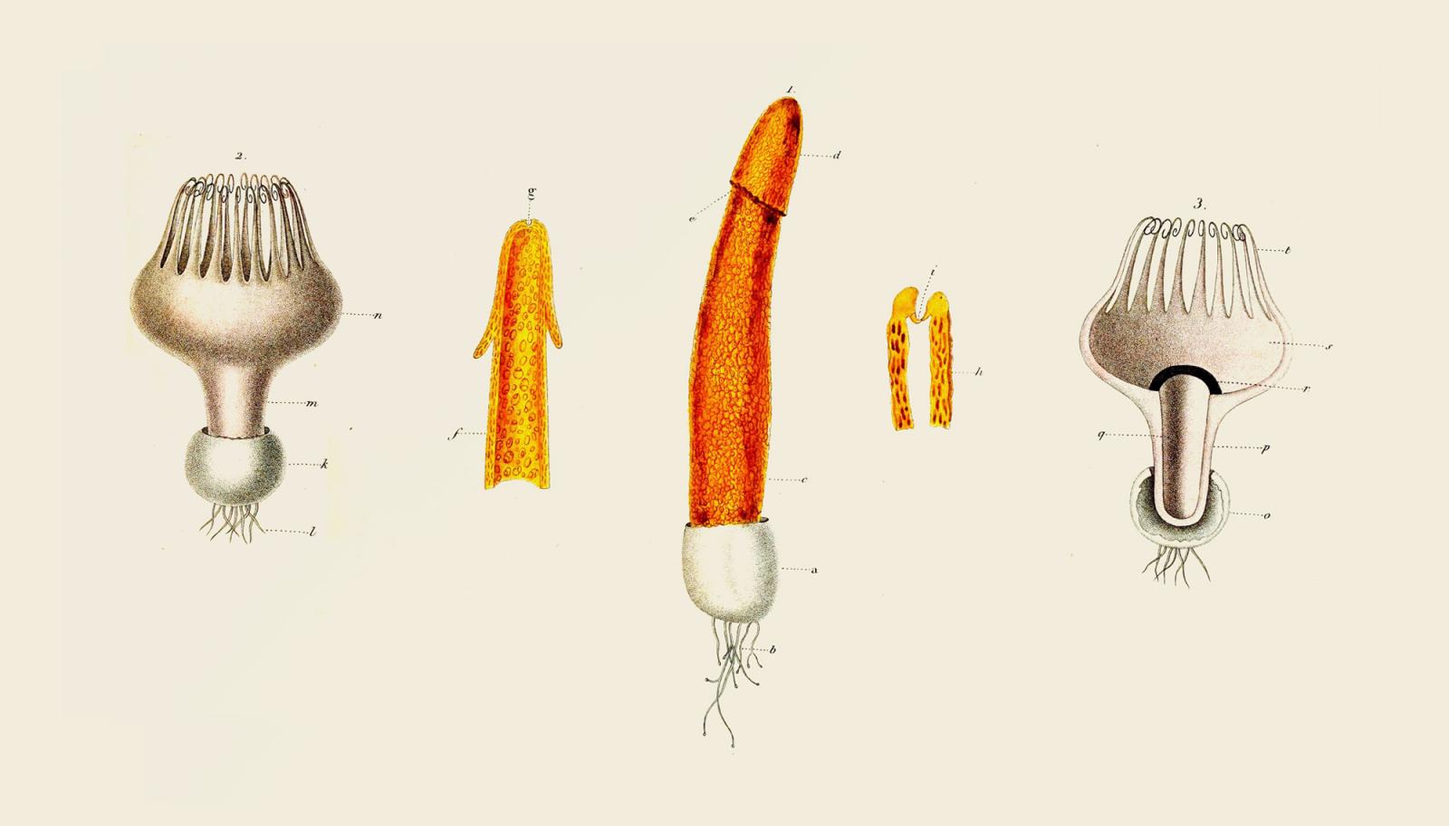 Recipe Banner